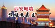 淫亚洲人母狗中年护士採精室尿屄嘘嘘中国陕西-西安城墙旅游风景区